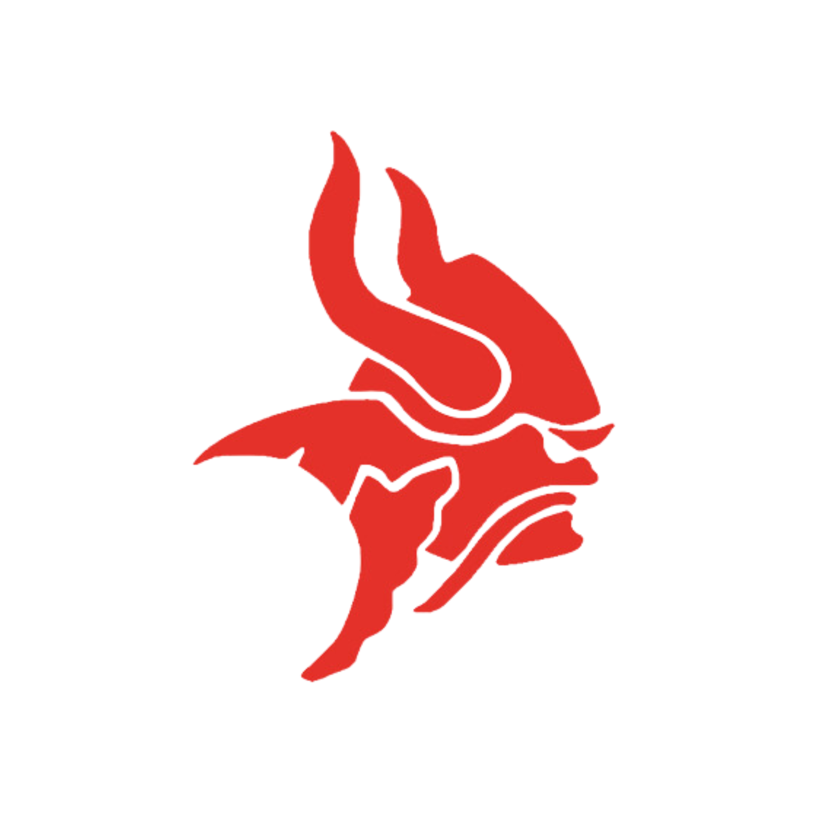 Tuggeranong Vikings 3rd Grade